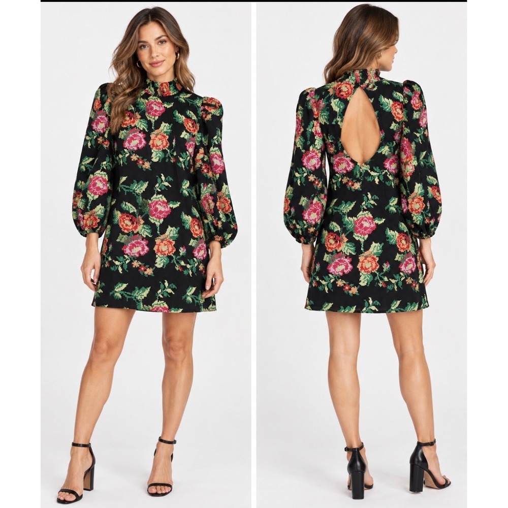 Eva Franco Cross Stitch Rose Floral Mock Neck Open Back Mini Dress Size 0 Lined